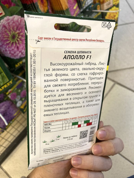 шпинат Аполло F1 (уп.2гр.) Франция